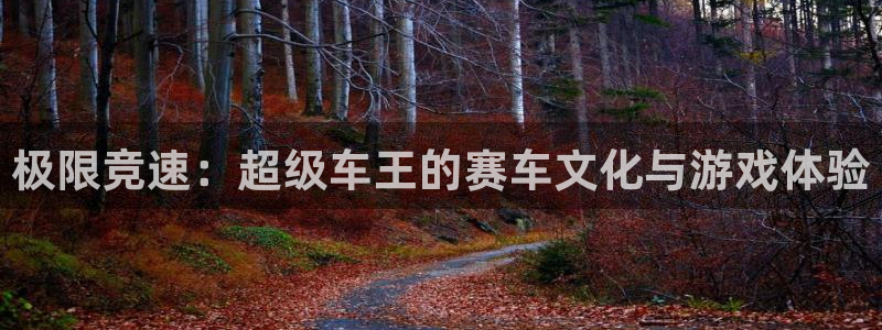 哈哈体育下载