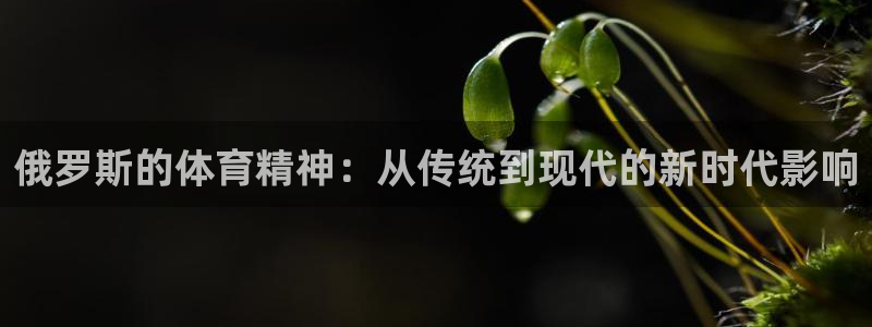 哈哈体育下载