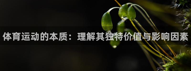 哈哈体育十年