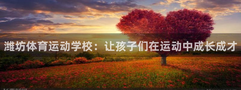 哈哈体育：潍坊体育运动学校：让孩子们在运动中成长成才