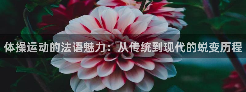 哈哈体育十年：体操运动的法语魅力：从传统到现代的蜕变历程