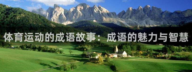 哈哈体育下载