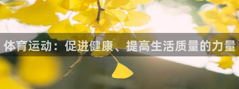 哈哈体育十年