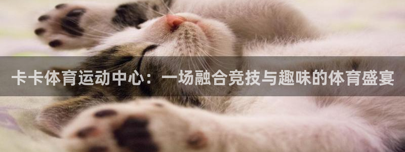 哈哈体育十年：卡卡体育运动中心：一场融合竞技与趣味的体育盛宴
