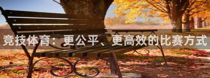 哈哈体育十年：竞技体育：更公平、更高效的比赛方式